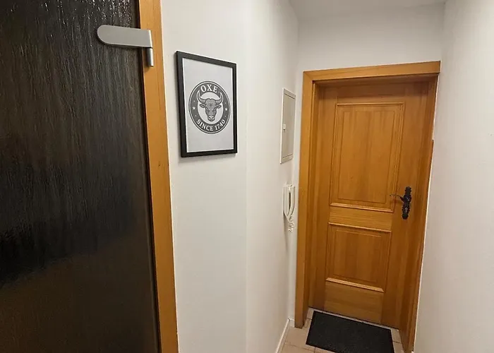 Apartment Der Oxe Am Maindreieck